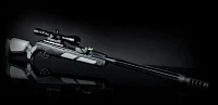 Gamo Swarm 10 X Viper Geni3 Multi Shot .22 Caliber Air Rifle with 3-9 x 40 Scope                                                