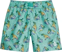 O'Rageous Boys' 4-7 Rainbow Dinos E Board Shorts