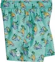 O'Rageous Boys' 4-7 Rainbow Dinos E Board Shorts