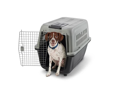 Academy Sports + Outdoors Wheeled Portable Large Kennel                                                                         