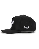 Waggle Golf Men's Legendairy Hat                                                                                                