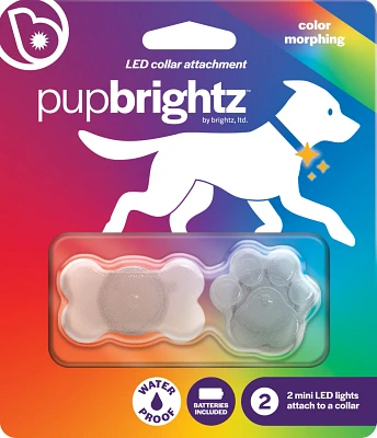 Brightz Pup LED Color Morphing Pet Collar Charms 2-Pack                                                                         