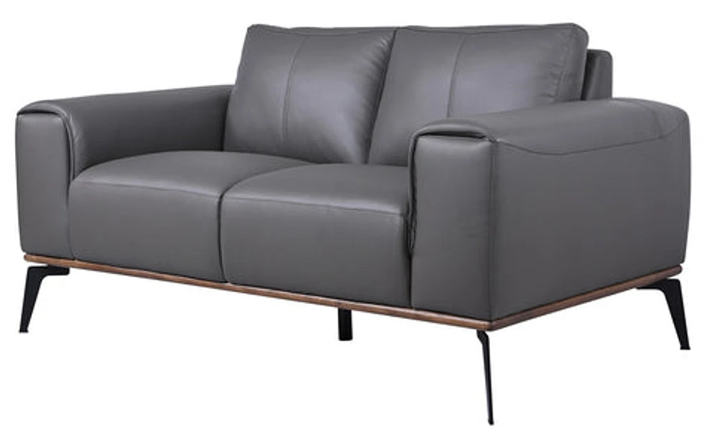 Pietro Genuine Leather Loveseat