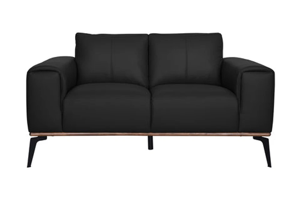 Pietro Genuine Leather Loveseat