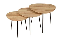 FLOOR MODEL Reeves Nesting Table - Set of 3 - Natural