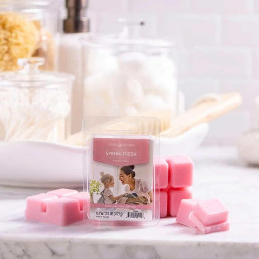 Spring Fresh Classic Wax Melts