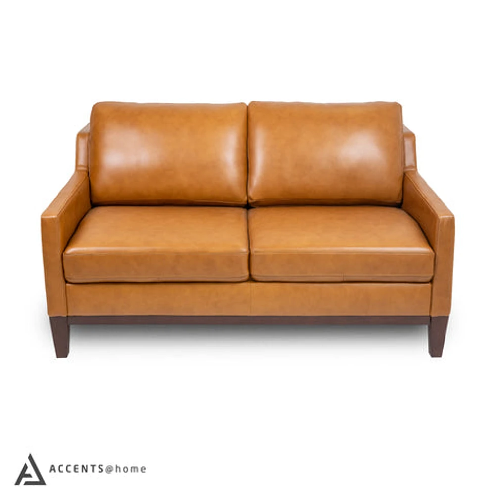 Roba Genuine Leather Loveseat