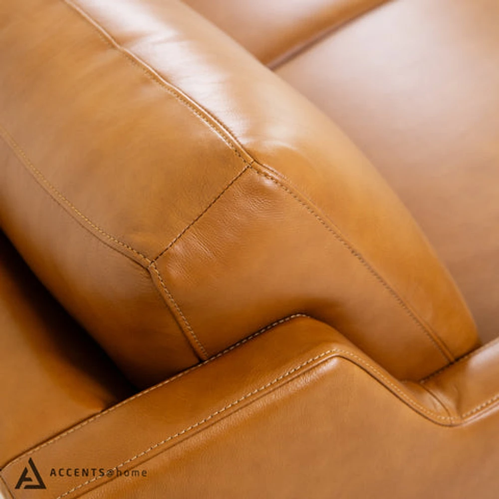 Roba Genuine Leather Loveseat