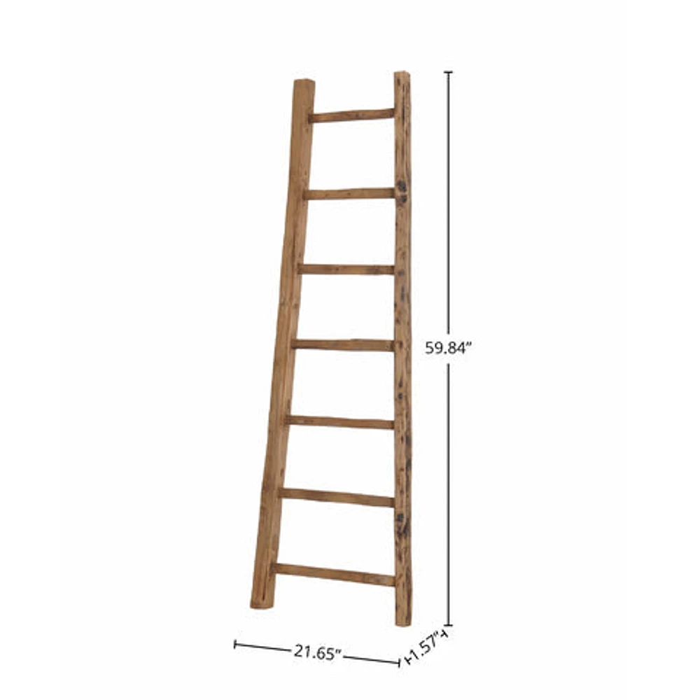 D-Bodhi Ladder