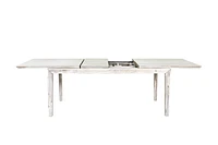 Gemini Extension Dining Table