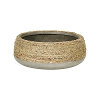 Nature Grass and Concrete Pot