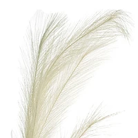 White Pampas Grass