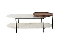 Eske Mango Wood Marble Coffee Table