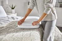 Sealy® Classic Memory Foam Pillow