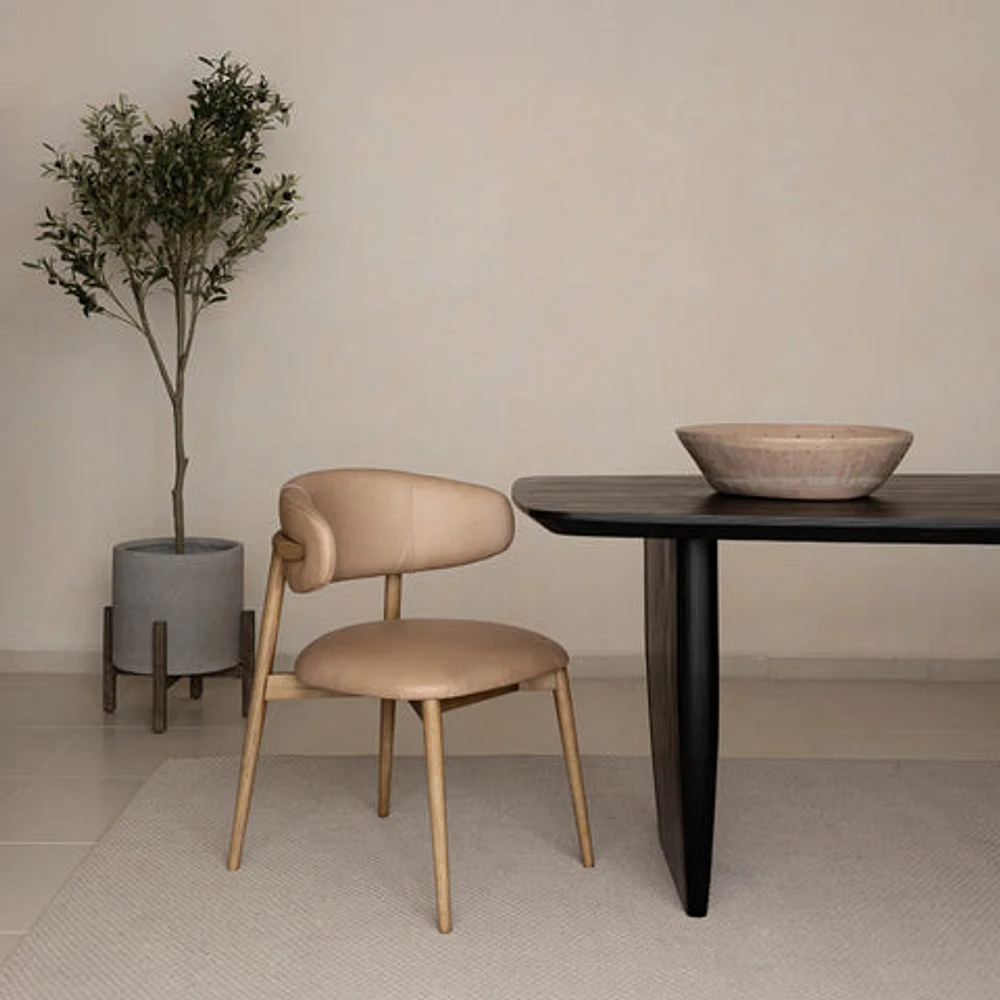 Milo Dining Chair