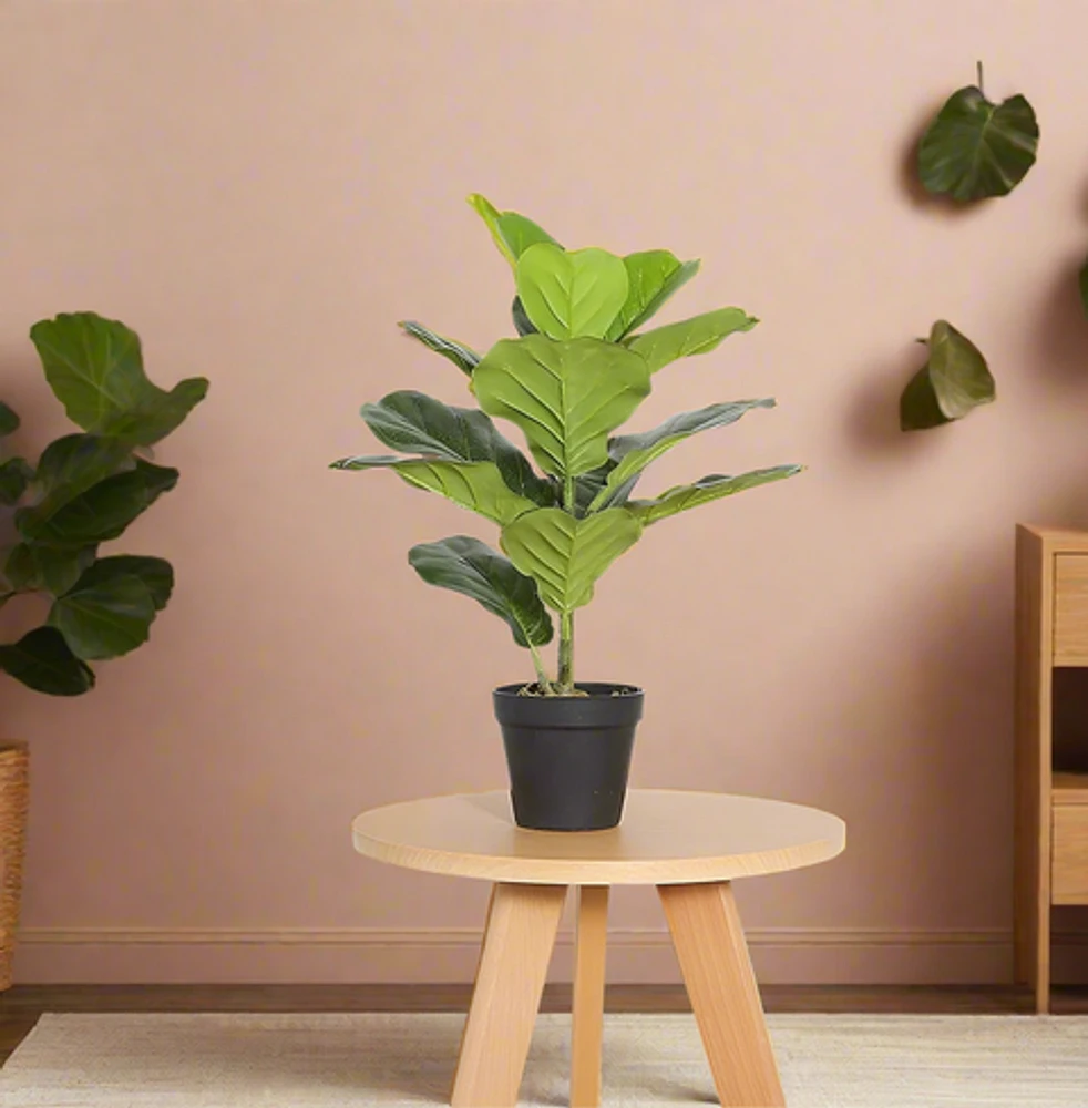 Fiddle Leaf Fig Faux Plant 50cm/ 19.7"