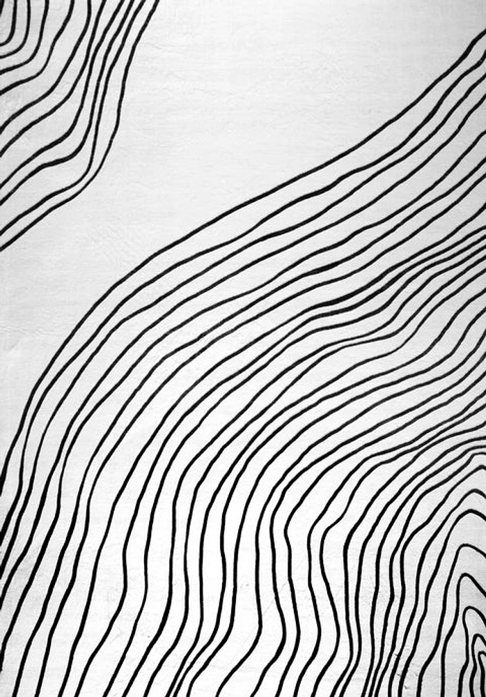 Europa Black Contemporary Rug with Neutral Accents