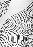 Europa Black Contemporary Rug with Neutral Accents