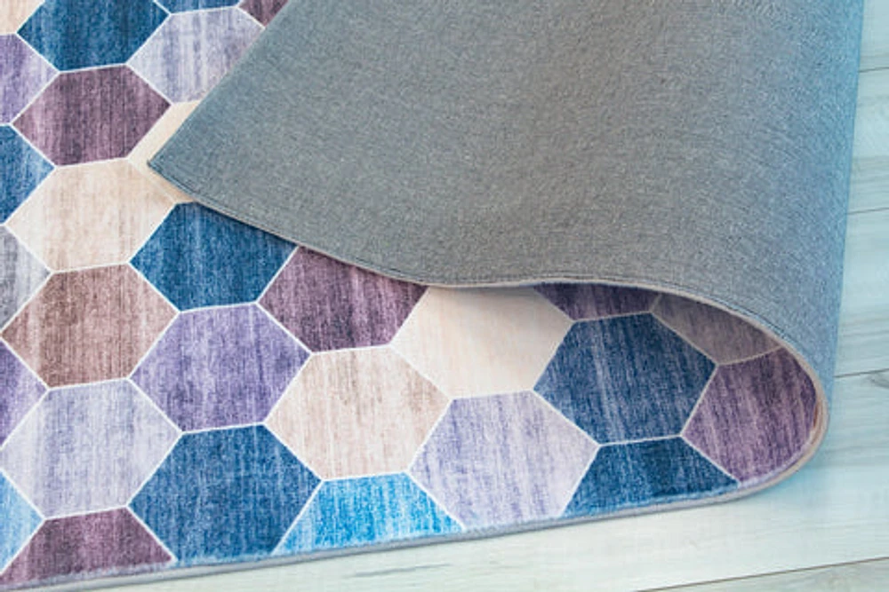 Europa Multi-Toned Modern Distressed Rug