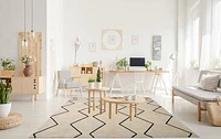 Ivory Leela Minimalist Brushstroke Area Rug
