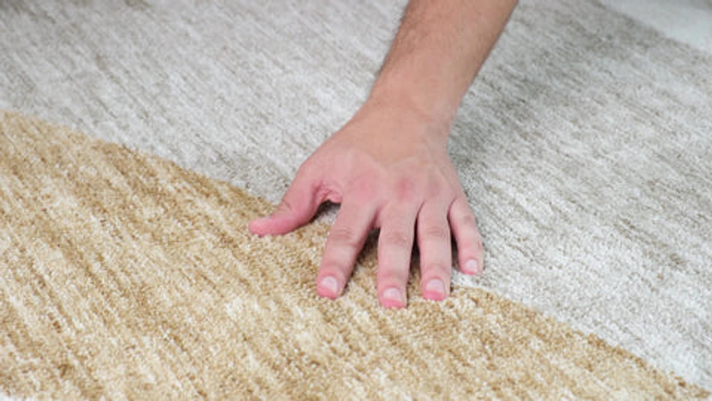 Beige Soft Texture Area Rug