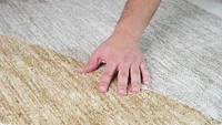 Beige Soft Texture Area Rug