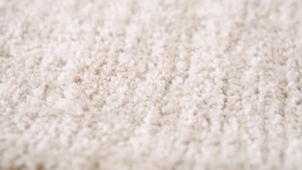 Beige Soft Texture Area Rug