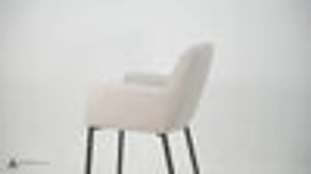 Adon Dining Chair | Modern & Durable