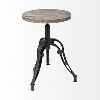 Emslie Bar/Counter Stool