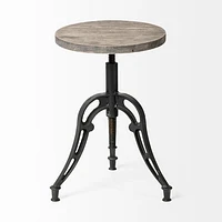 Emslie Bar/Counter Stool