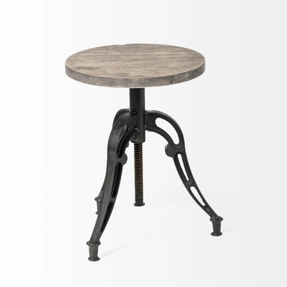 Emslie Bar/Counter Stool