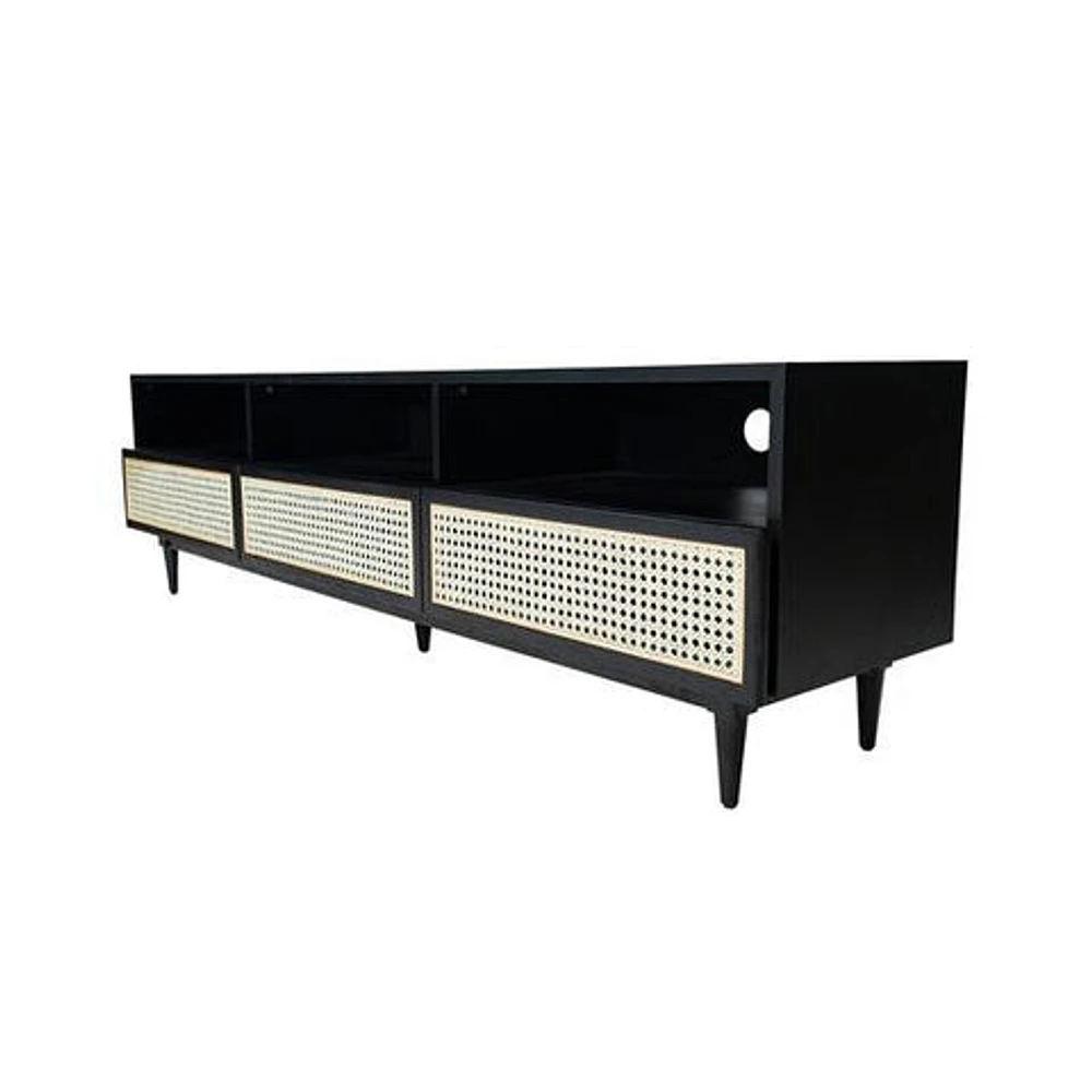 CANE MEDIA UNIT