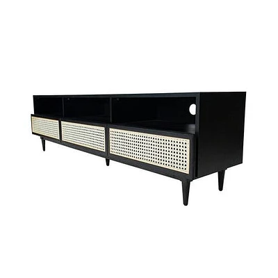 CANE MEDIA UNIT