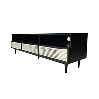 CANE MEDIA UNIT