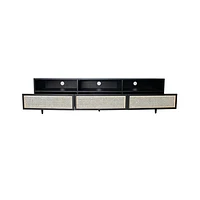 CANE MEDIA UNIT