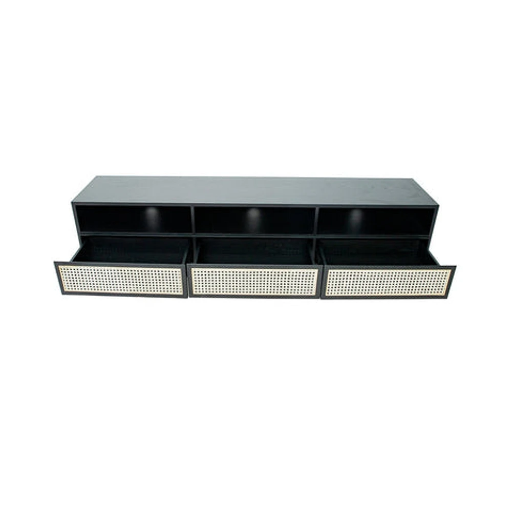 CANE MEDIA UNIT