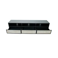 CANE MEDIA UNIT