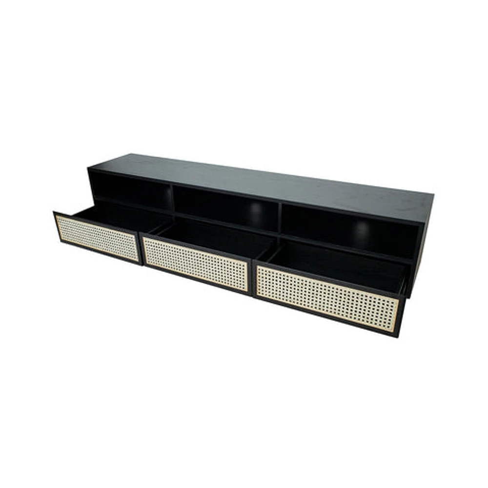 CANE MEDIA UNIT