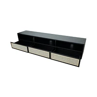CANE MEDIA UNIT