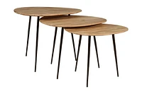 Reeves Nesting Table - Set of 3 - Natural