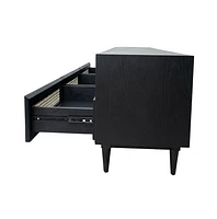 CANE MEDIA UNIT