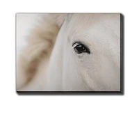 Caballo Blanco AWG39327