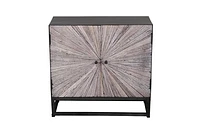 Astral Plains Grey Reclaimed 2 Door Accent Cabinet