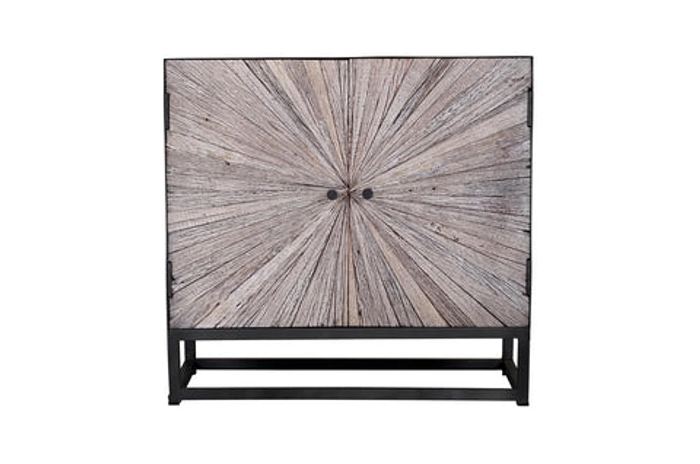 Astral Plains Grey Reclaimed 2 Door Accent Cabinet