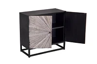 Astral Plains Grey Reclaimed 2 Door Accent Cabinet