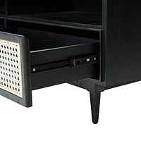 CANE MEDIA UNIT