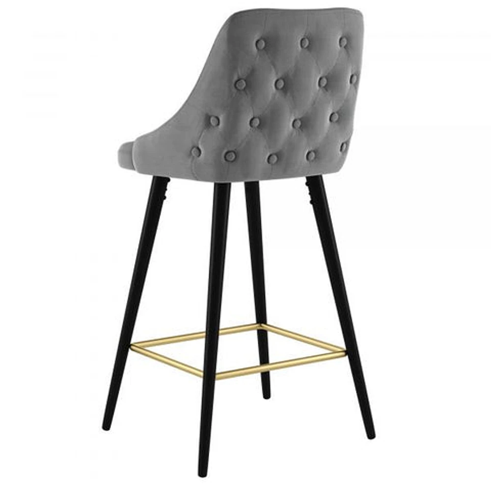 Roxanne II 26'' Counter Stool, set of 2 in Grey