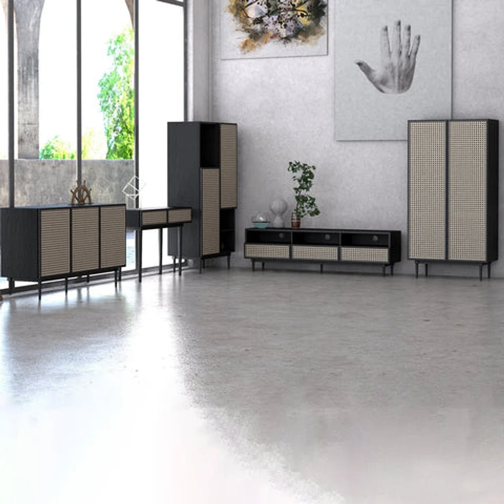 CANE MEDIA UNIT