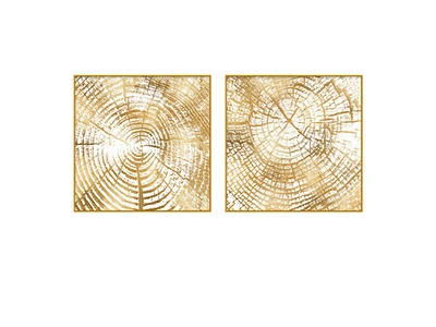 Gemini Set of 2Alloy Matt - Golden Frame Wall Art