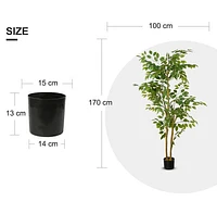 Ficus Tree Faux Plant 170cm/ 67"